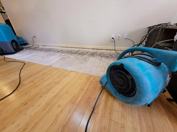 Professional Ceiling Water Damage Repair technician working in Clinton, TN